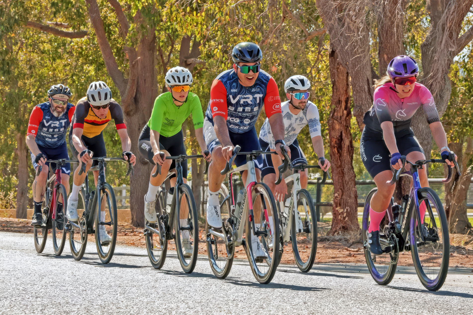 Six cyclists in colorful gear riding road bikes closely on a sunlit tree-lined pavement.