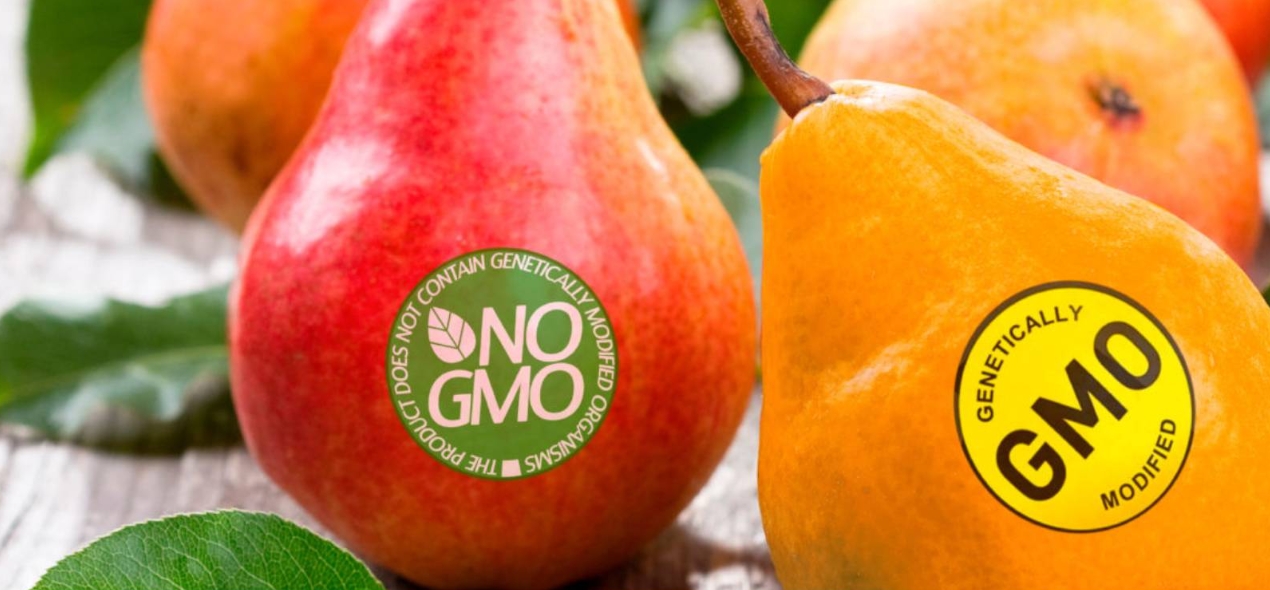 SNZI NO-GMO kiwifruit — natural breeding only