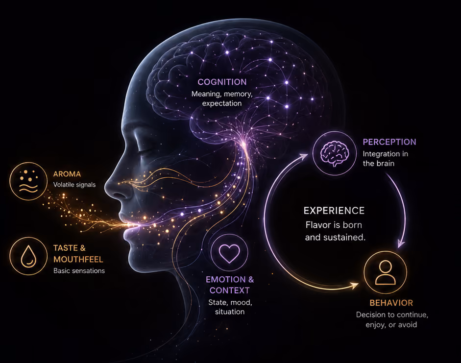 image of interactive educational tool (for a edtech)