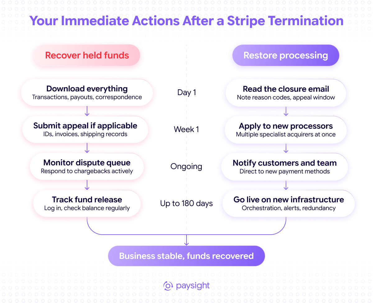 Two-track recovery plan after Stripe termination: recover held funds while applying to new processors and restoring payment infrastructure.
