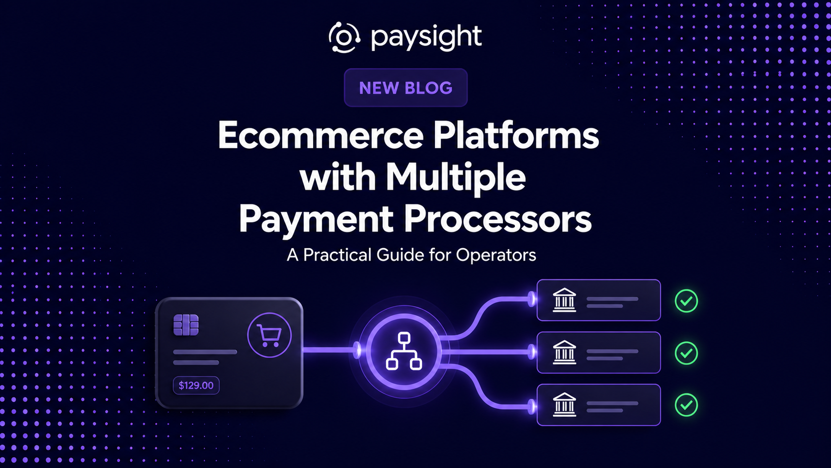 Paysight guide cover showing an ecommerce checkout routing payments across multiple processors.