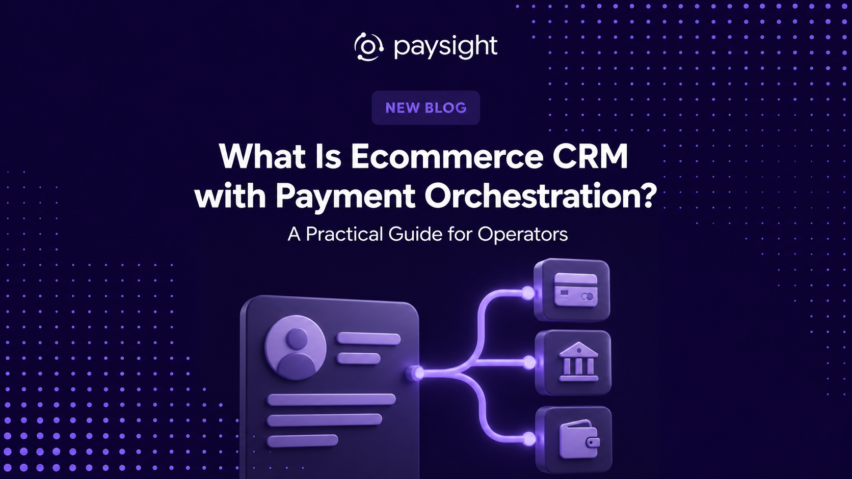 Paysight guide cover illustrating customer relationship data connected to payment orchestration.
