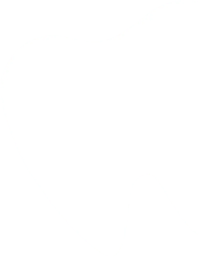 Detailed cross-section illustration of a human tooth showing the enamel, dentin, pulp, root, and surrounding bone structure.