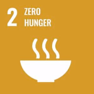 Icon representing Sustainable Development Goal 2: Zero Hunger. A mustard yellow background with a white bowl of steaming food.