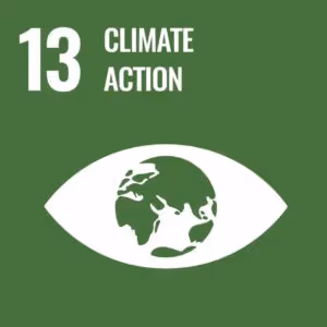 United Nations Sustainable Development Goal icon 13 for climate action