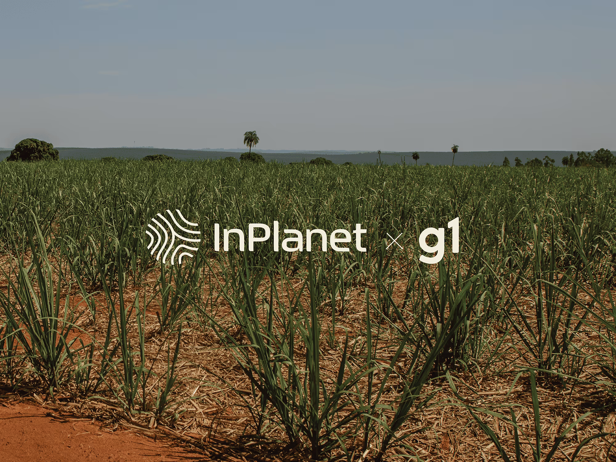 Agricultural field with InPlanet and G1 logo overlay