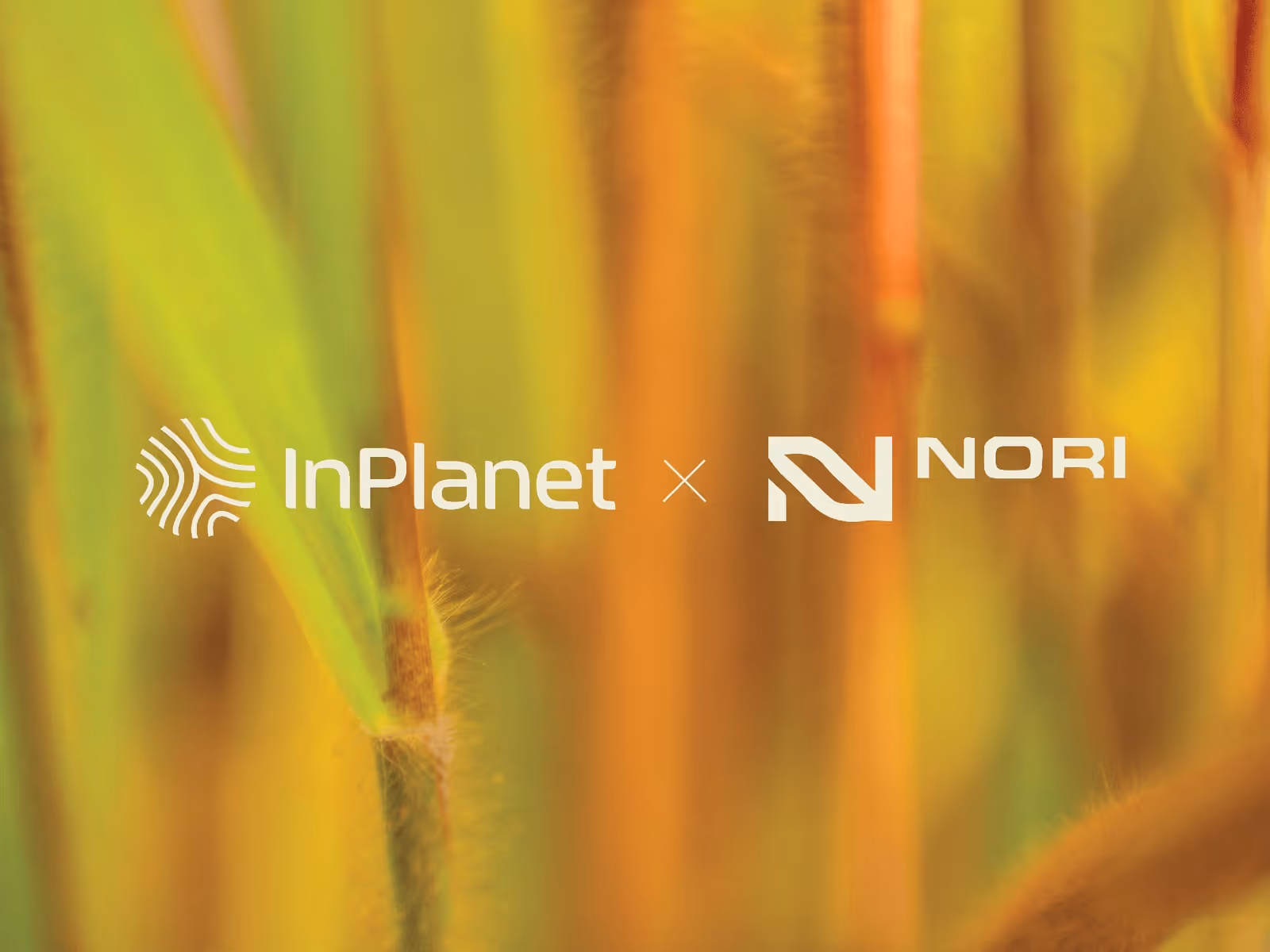 Green background with InPlanet and Nori logos