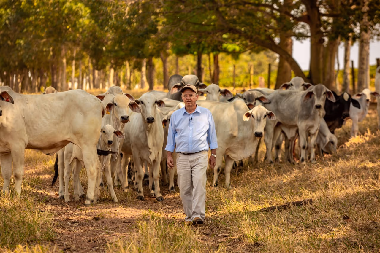 Agricultural Partner, Carles Malagutti with a herd of cows