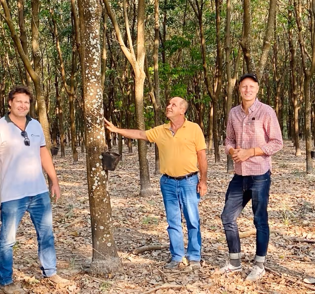 Three people in a wood plantation