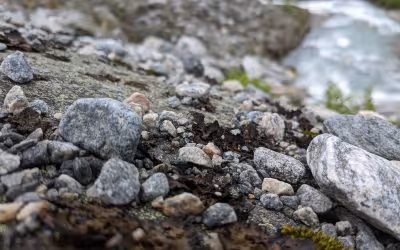 Soil profile showing mineral weathering products and constituents