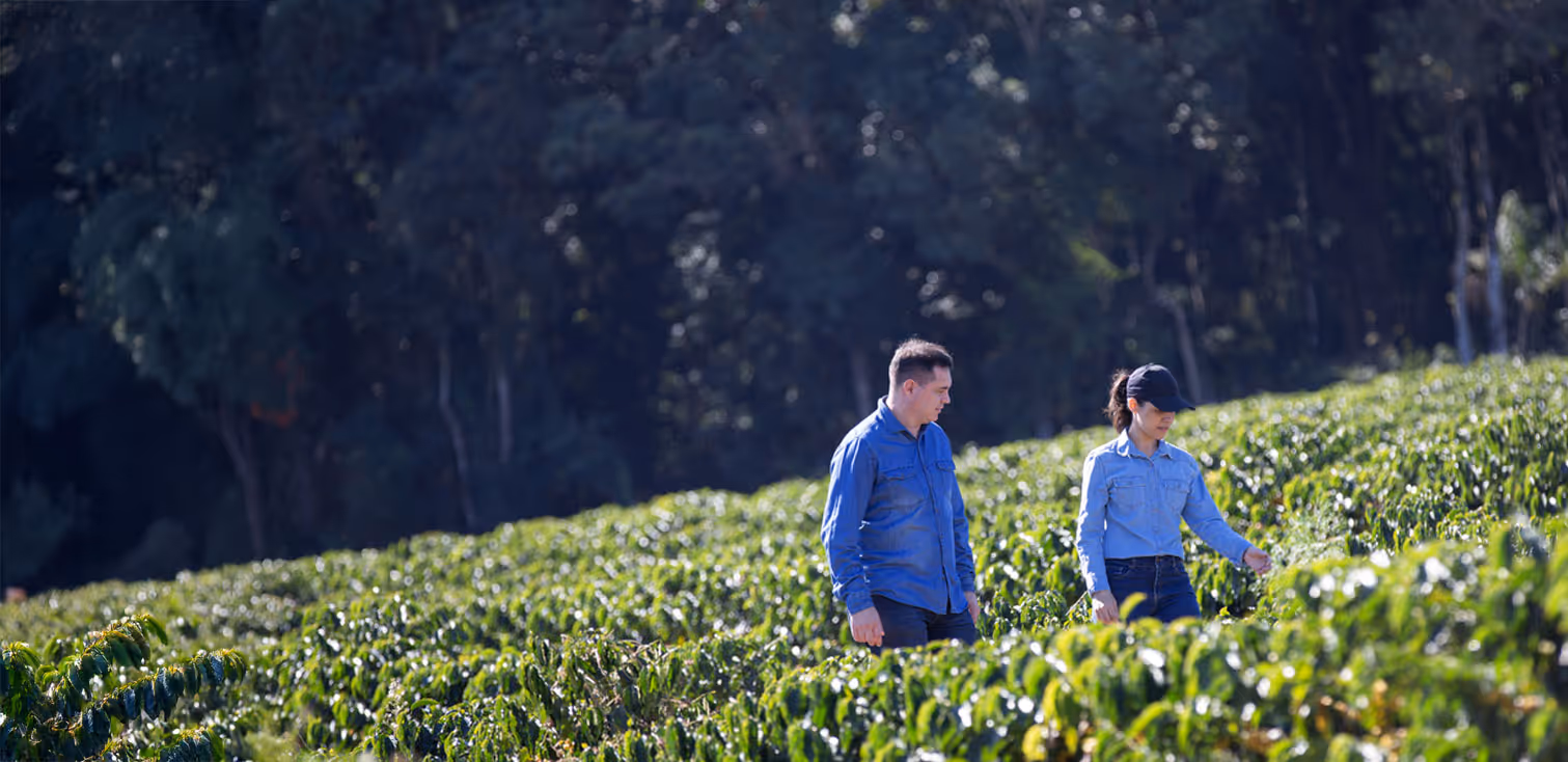 Two agricultural professionals inspecting crop health while walking through a farm participating in carbon removal initiatives.