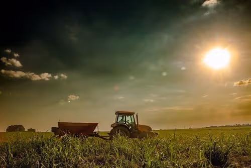 Red tractor driving in a sunlit field