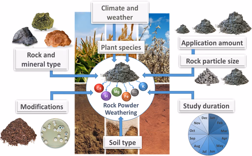 Infographic on the usage of silicate rock powders. including the most relevant factors influencing the weathering of the rock powders: Climate and Weather, Rock and mineral type, plant species, application amount, rock particle size, study duration, soil type, modifications.