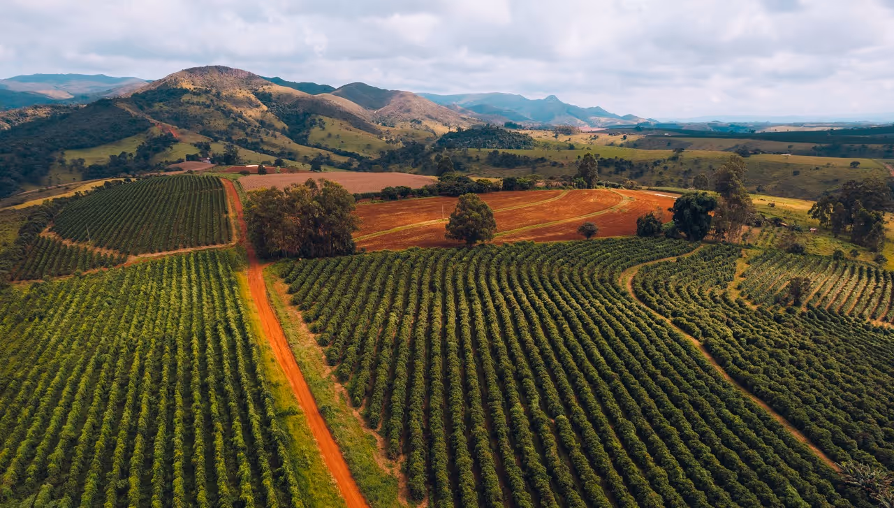 Aerial picture of a farm landscape in Brazil