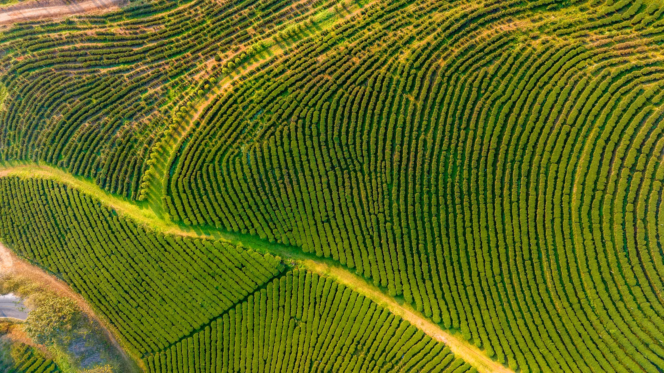 Aerial view of cultivated farmland with curved crop rows across a large agricultural landscape in Brazil.