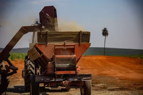 Red agricultural machine working in a dusty field with palm tree