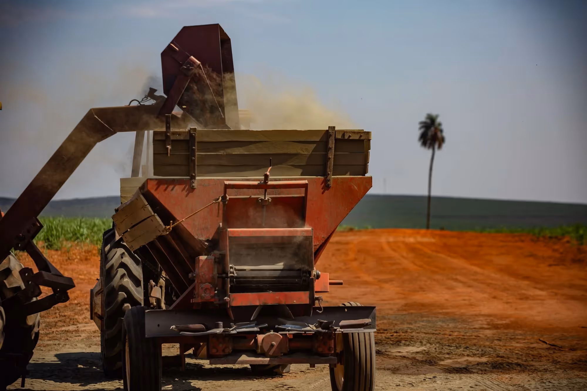 Red agricultural machine working in a dusty field with palm tree