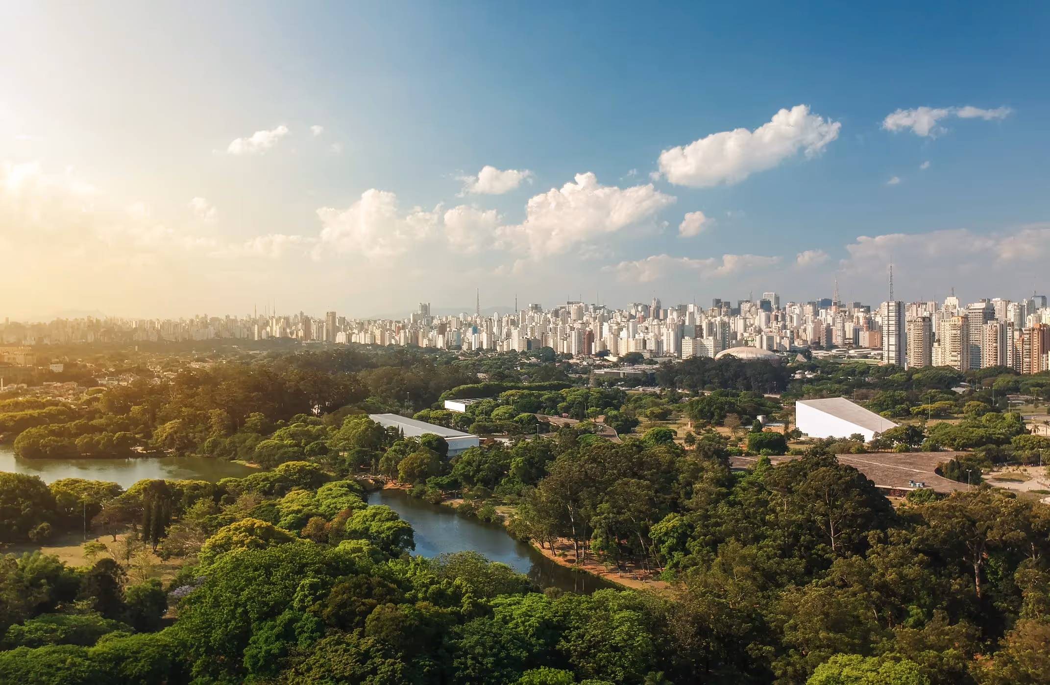 Aerial view of a lush urban forest and waterways alongside a modern city skyline, illustrating the connection between nature and urban life.