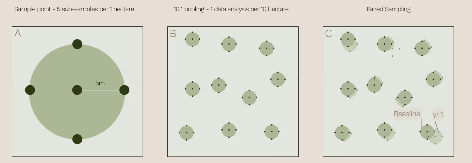 Figure 1. Illustration of our soil sampling methodology (detailed in our previous blog post).