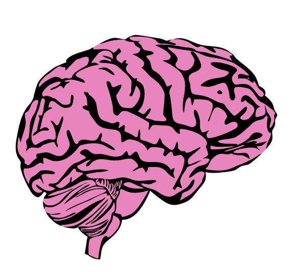 Illustration of a pink human brain with detailed black grooves and ridges on a black background.