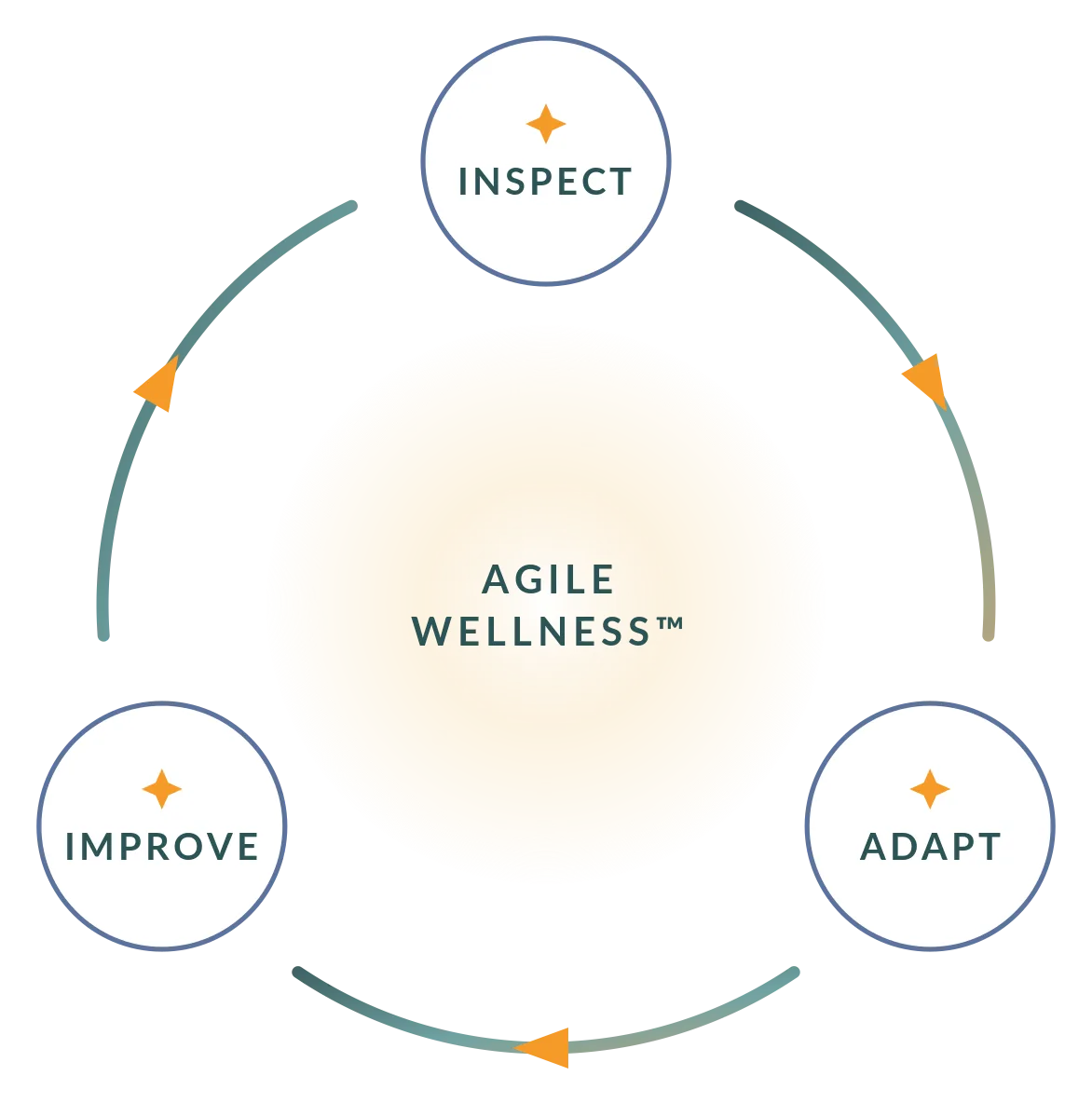 The Agile Wellness Cycle: Inspect, Adapt, Improve