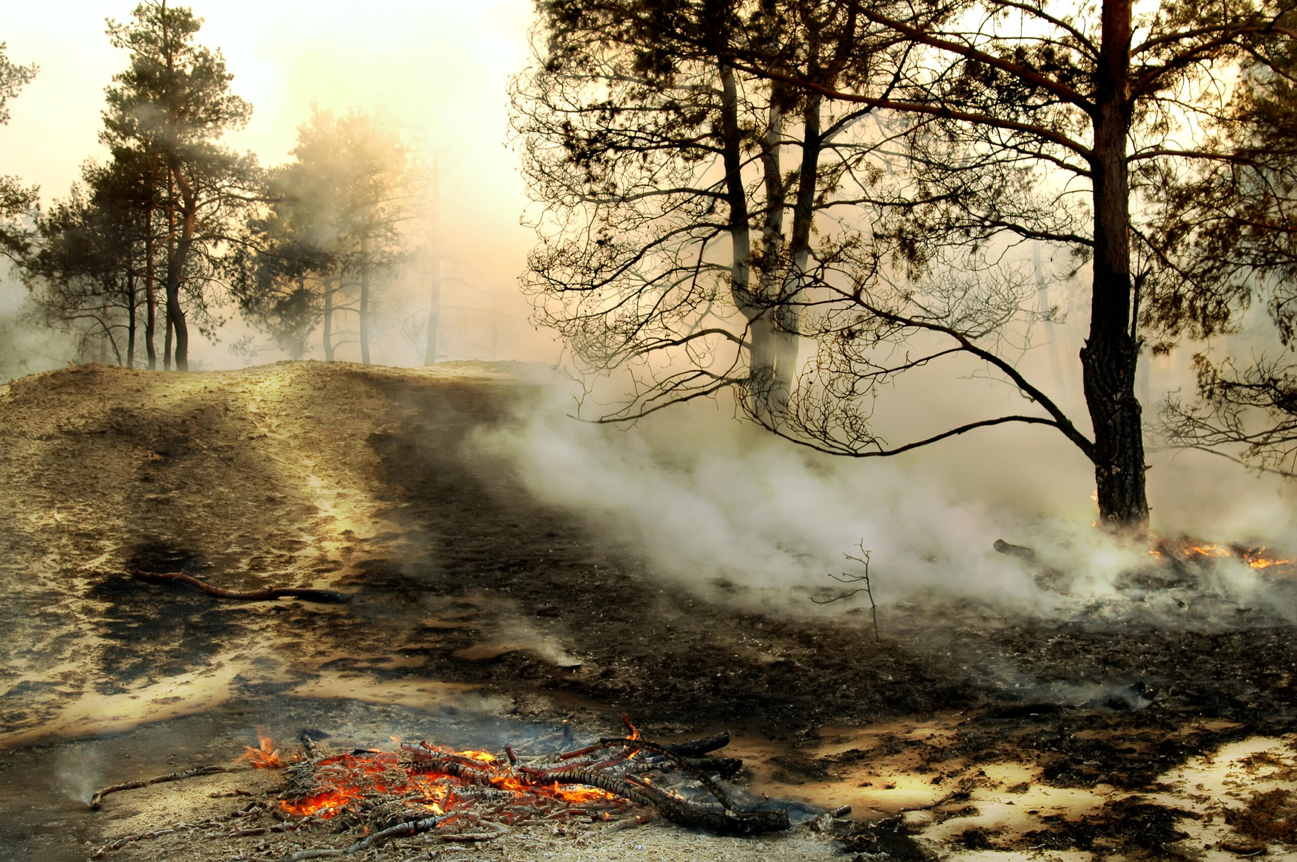 After Layoffs: What to Do When the Smoke Clears