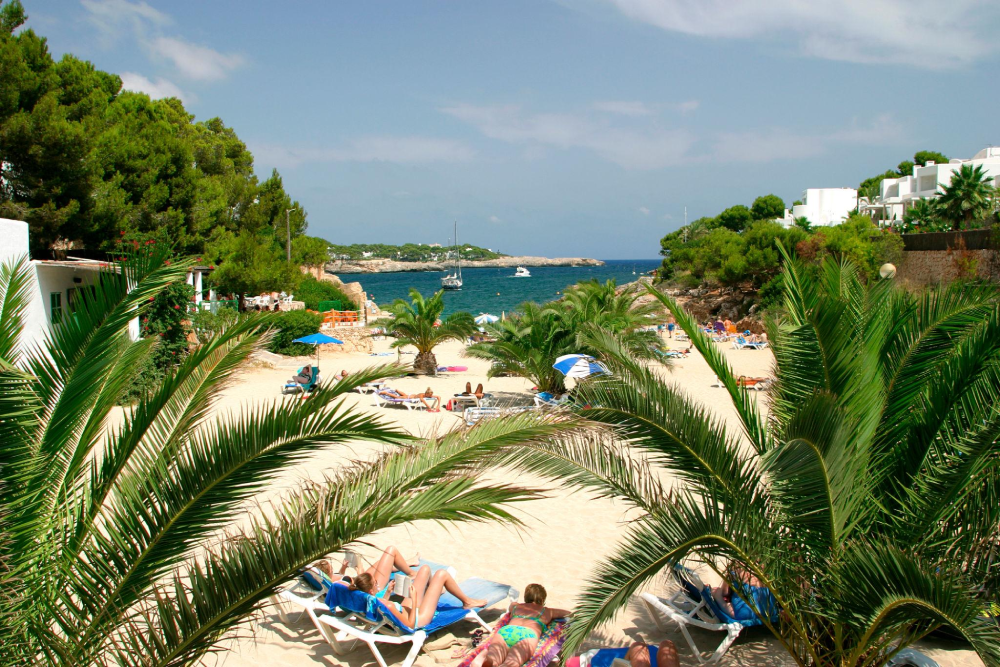 Caló des Pou beach in Cala d’Or with calm turquoise water, sand and palm trees
