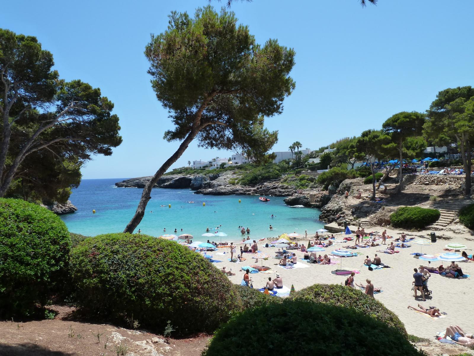 Clear water and sandy cove beach in Cala d’Or Mallorca