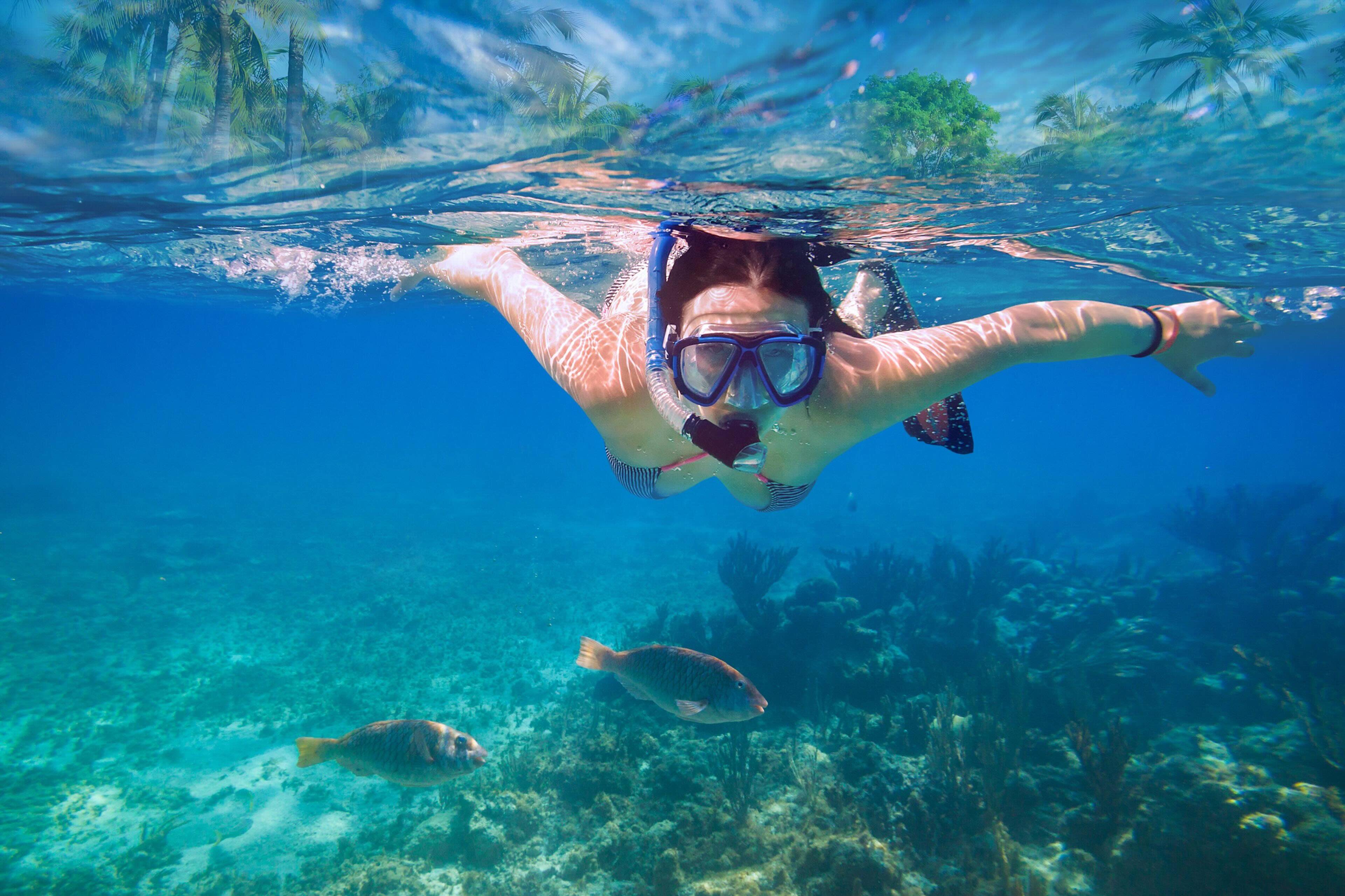 Snorkelling in clear water at a Cala d’Or cove
