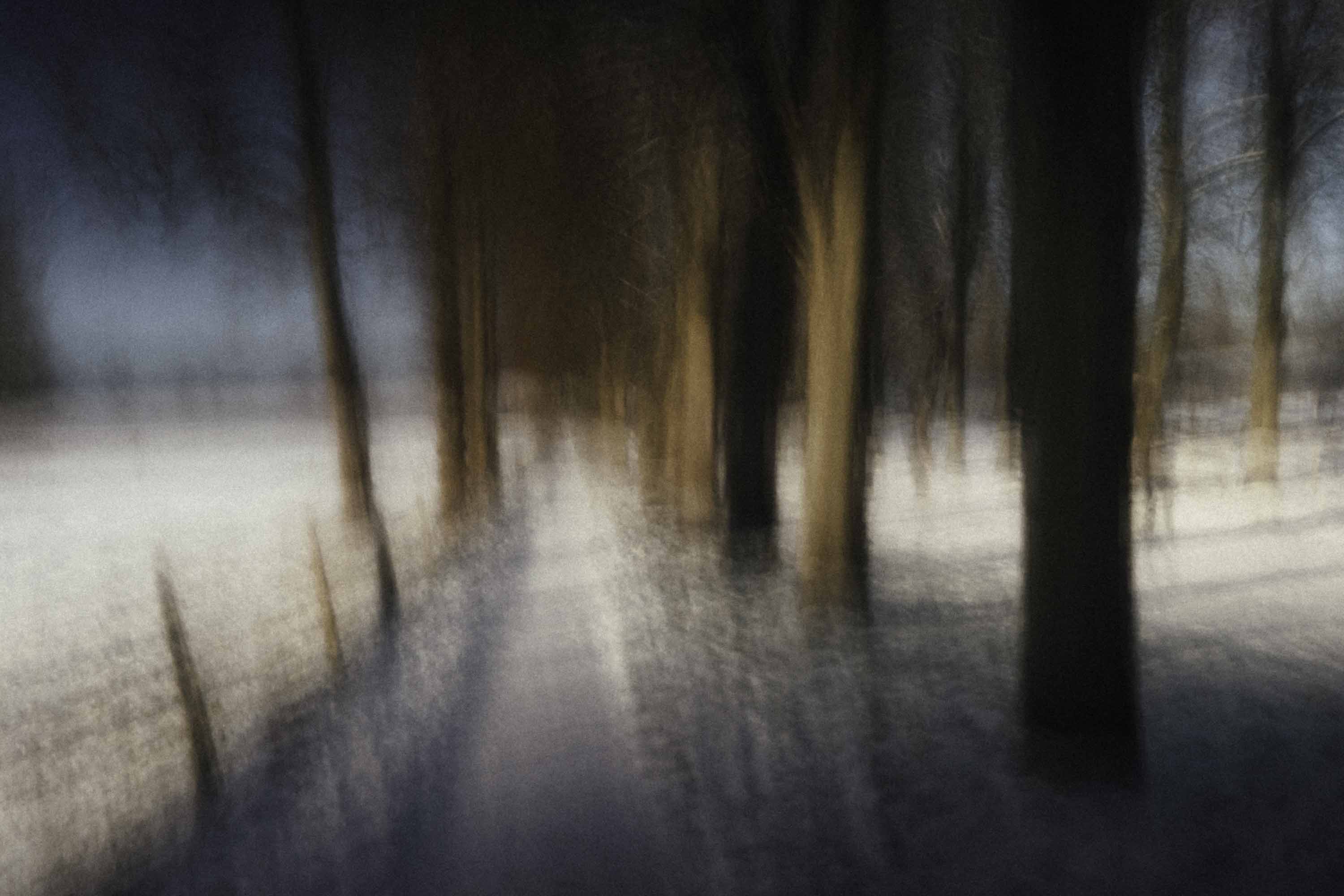 Chemin enneigé entre arbres hivernaux, forêt floue et lumière dorée, longue exposition ICM, nature contemplative — Christophe Lobier fine art photography