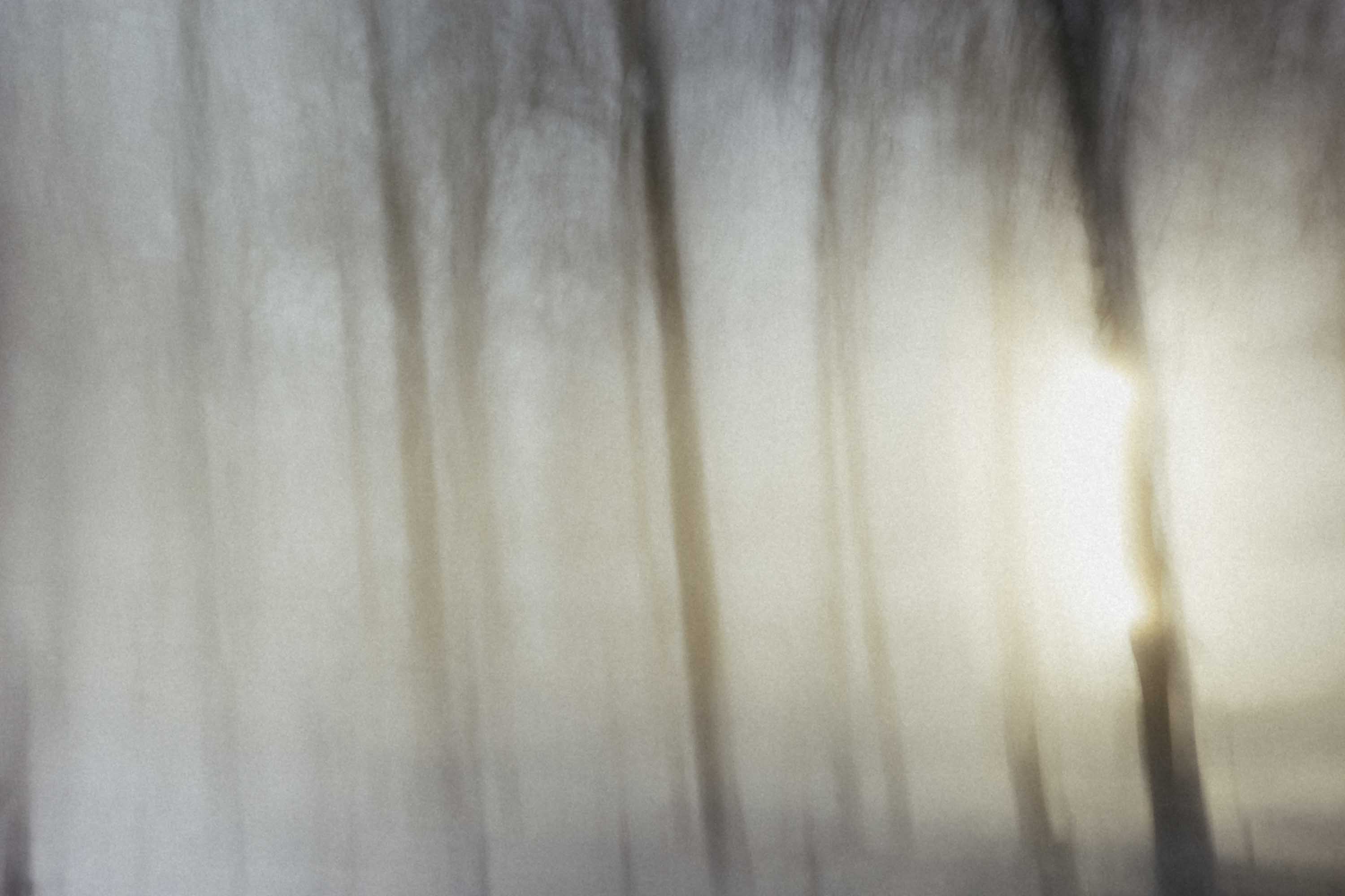 Forêt brumeuse en hiver, arbres dissous dans la lumière — Christophe Lobier fine art photography Paris