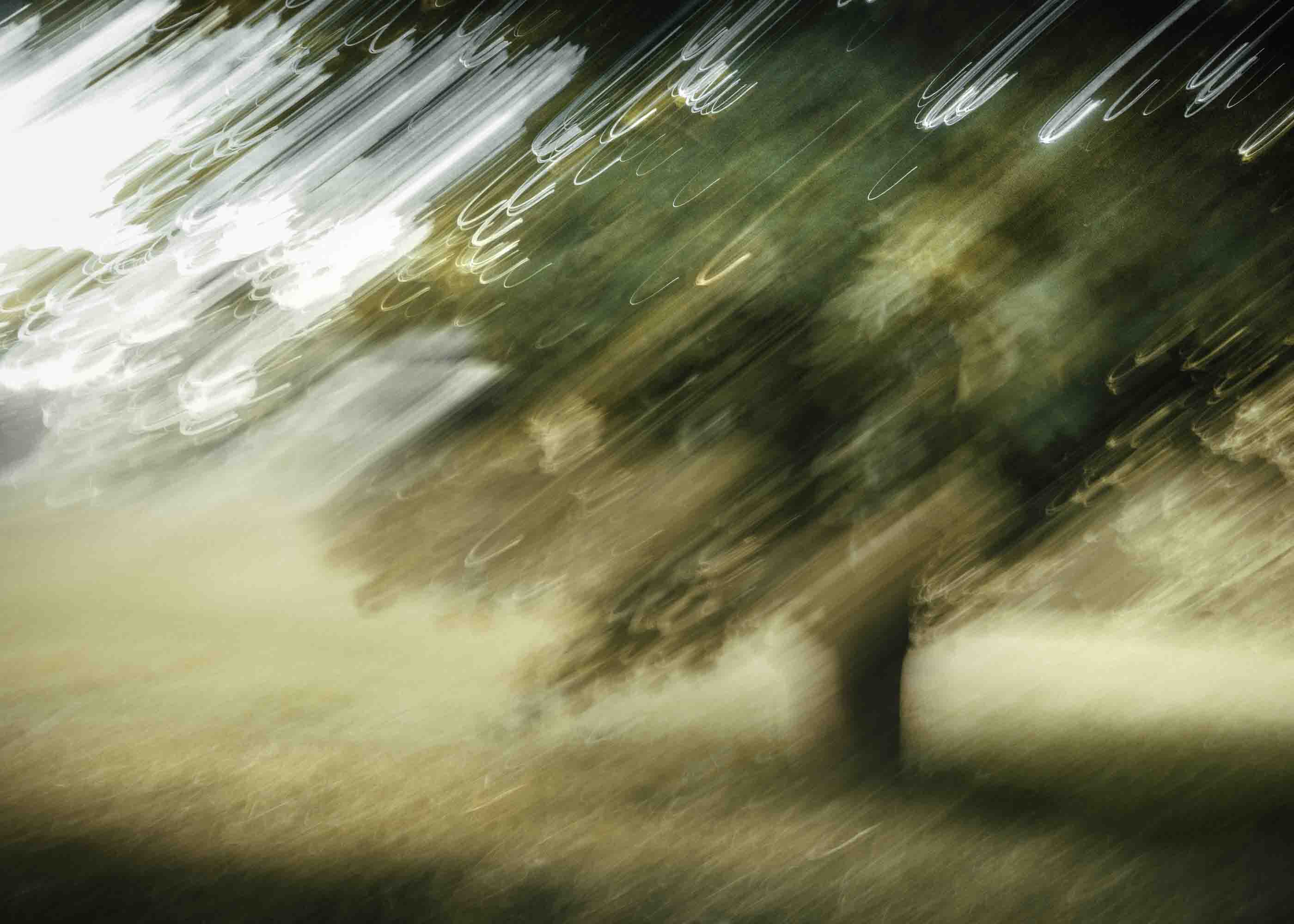 Arbre solitaire dans un parc, nature floue et lumineuse, longue exposition ICM, mémoire de l'enfance — Christophe Lobier fine art photography
