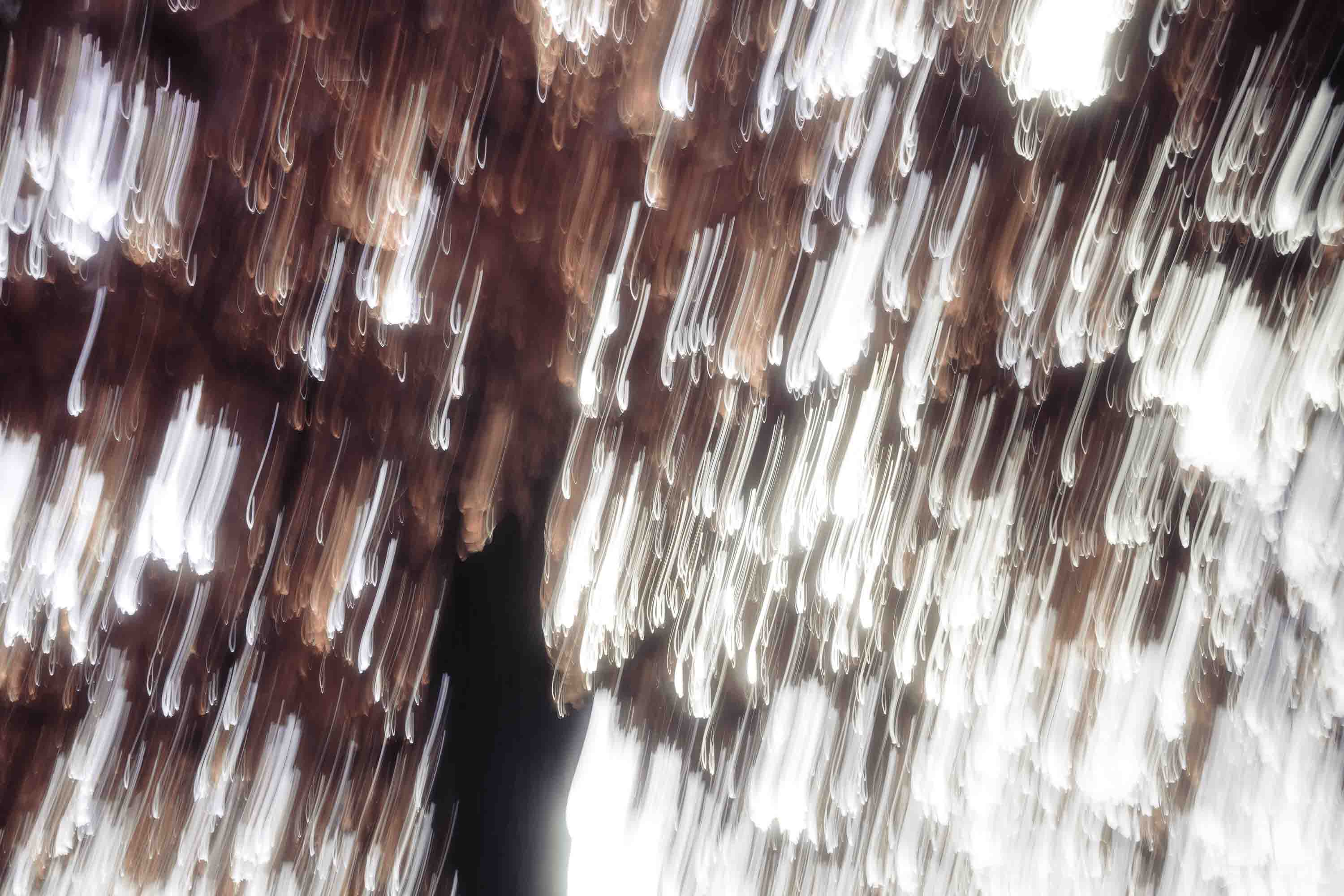 Chemin enneigé entre arbres hivernaux, forêt floue et lumière dorée, longue exposition ICM, nature contemplative — Christophe Lobier fine art photography