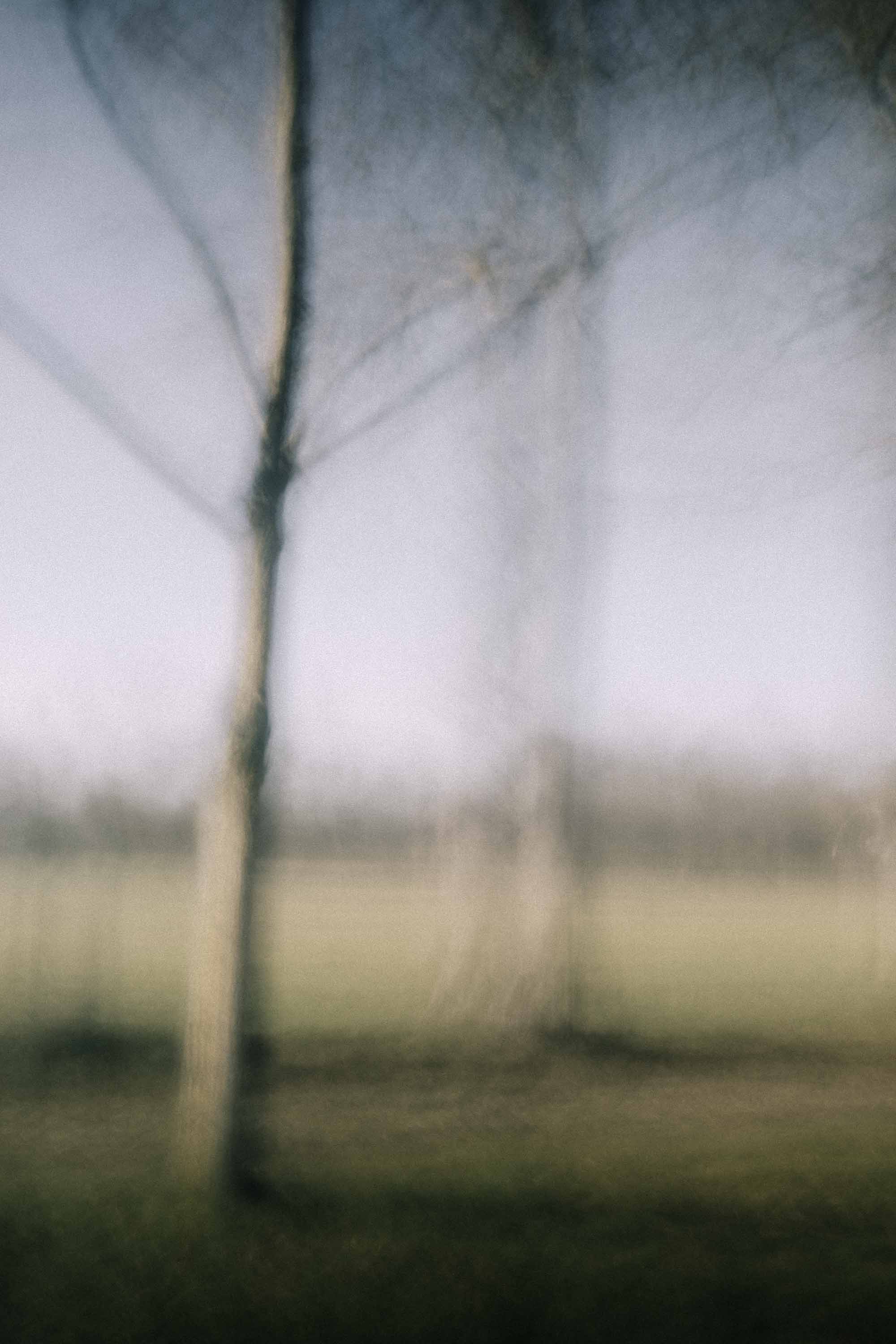 Arbre dénudé dans un parc brumeux, entre hiver et printemps, lumière douce et floue, longue exposition ICM, nature contemplative — Christophe Lobier fine art photography