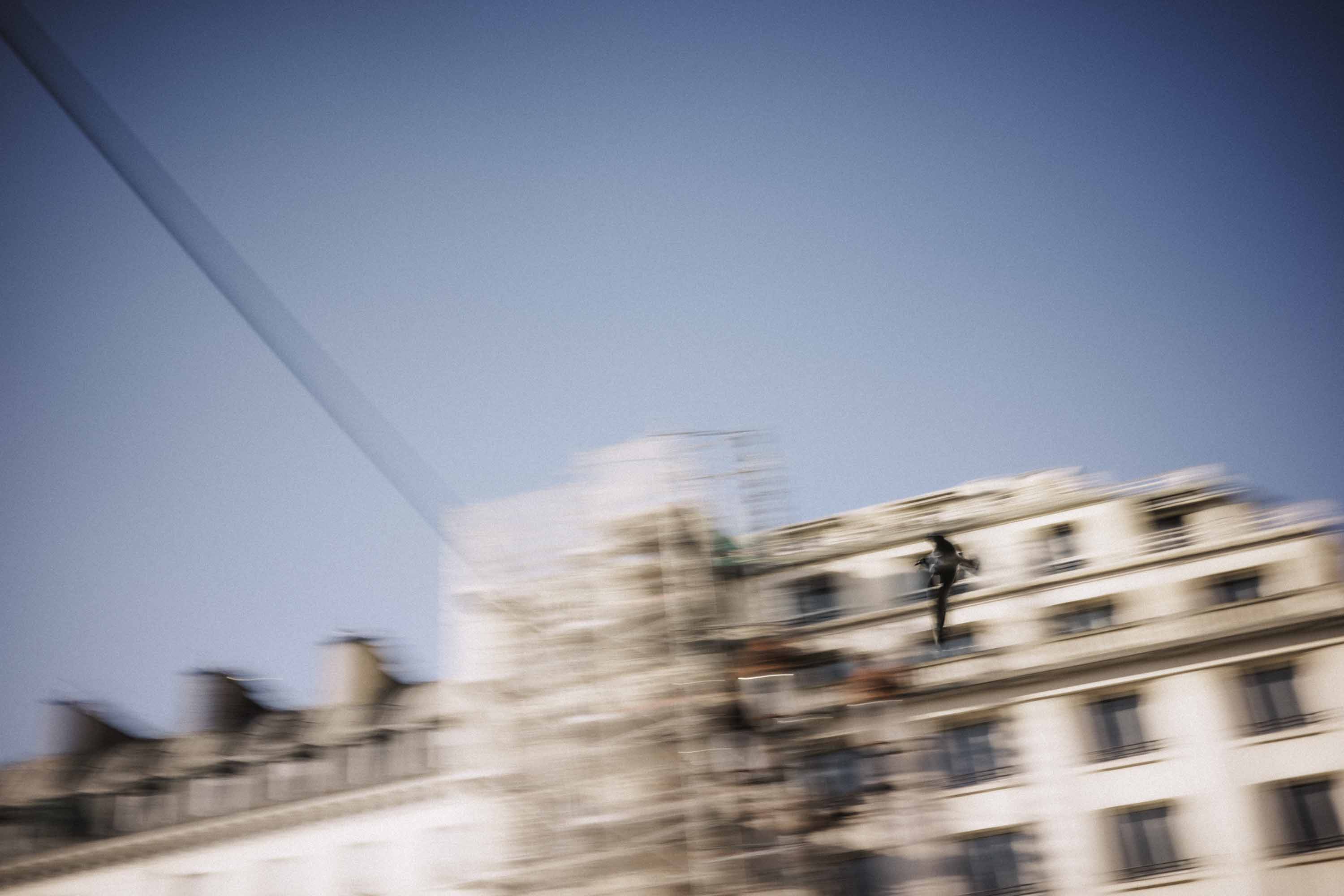 Oiseau en vol sur toits parisiens, longue exposition, ville en mouvement — Christophe Lobier fine art photography.