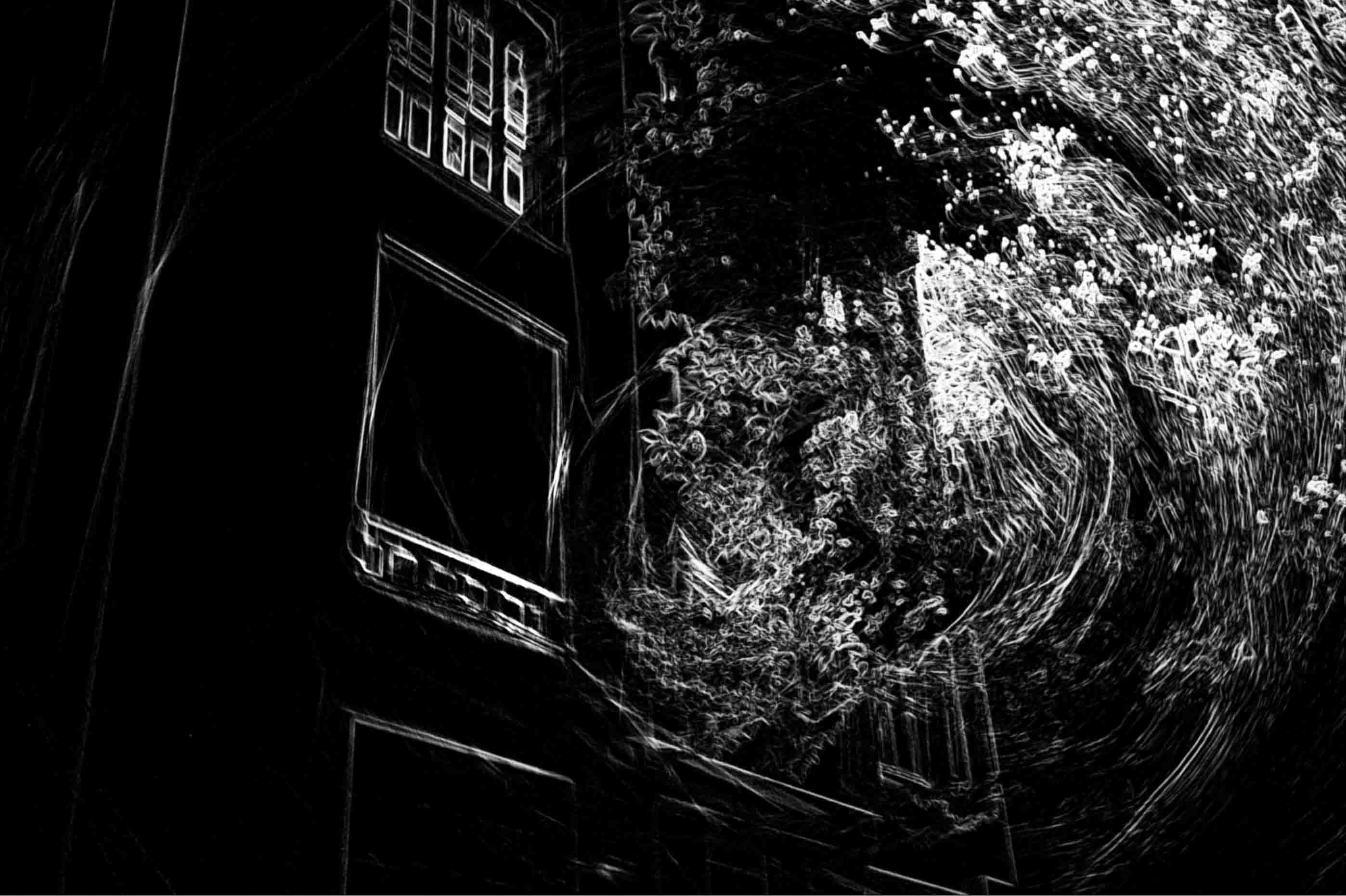 Immeuble submergé par effet de vague végétale, longue exposition ICM — Christophe Lobier fine art photography