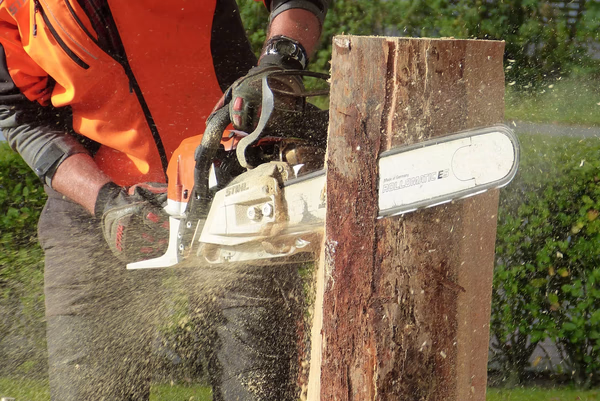 Tree surgeon cutting tree