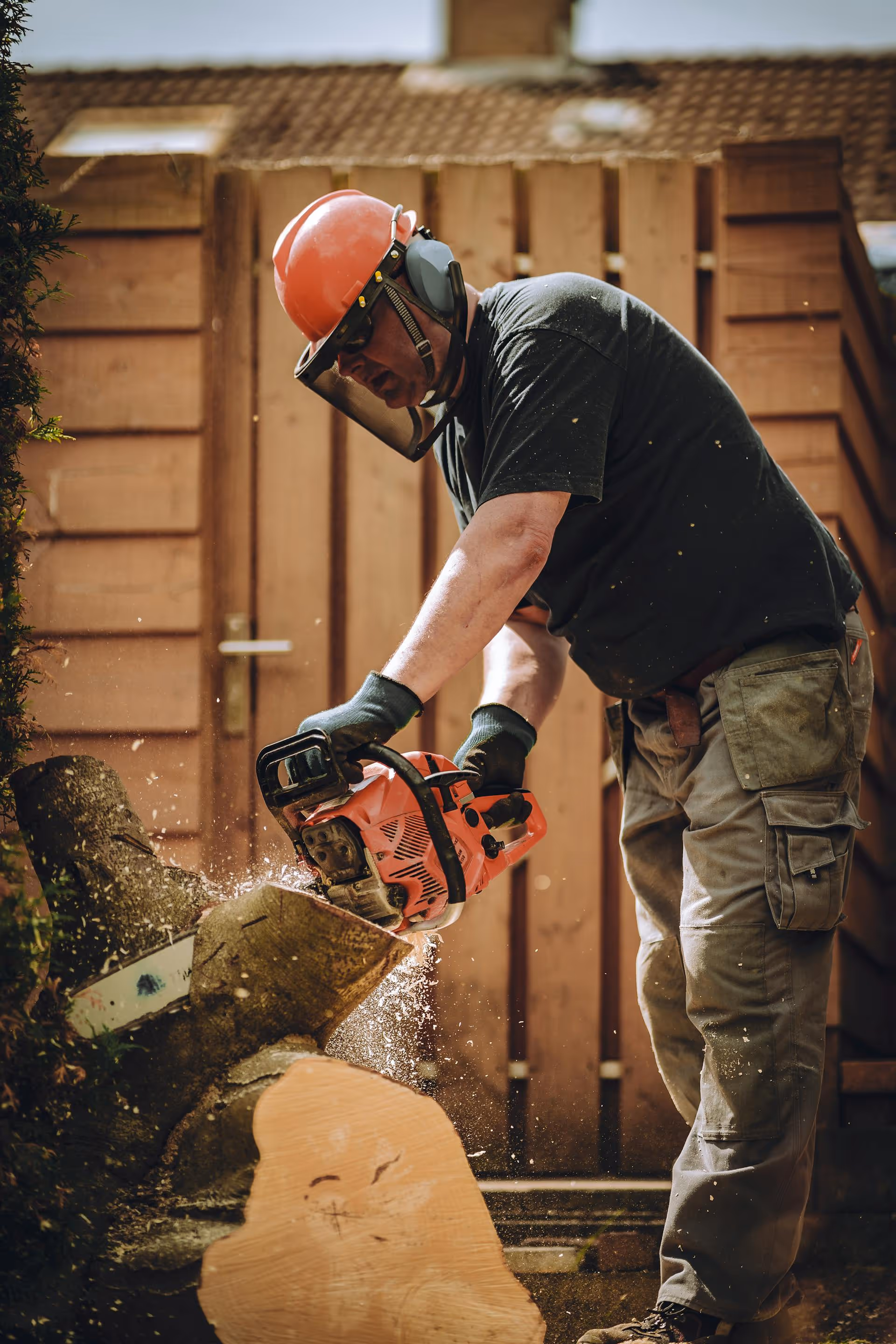 Tree surgeon cutting tree