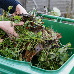 Hands placing garden waste, including leaves and weeds, into a green compost bin outdoors.