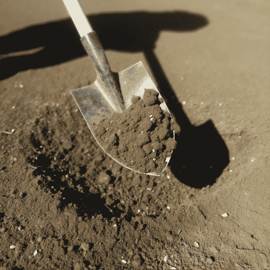 Close-up of a gardening trowel holding dark soil with a shadow on bare ground.