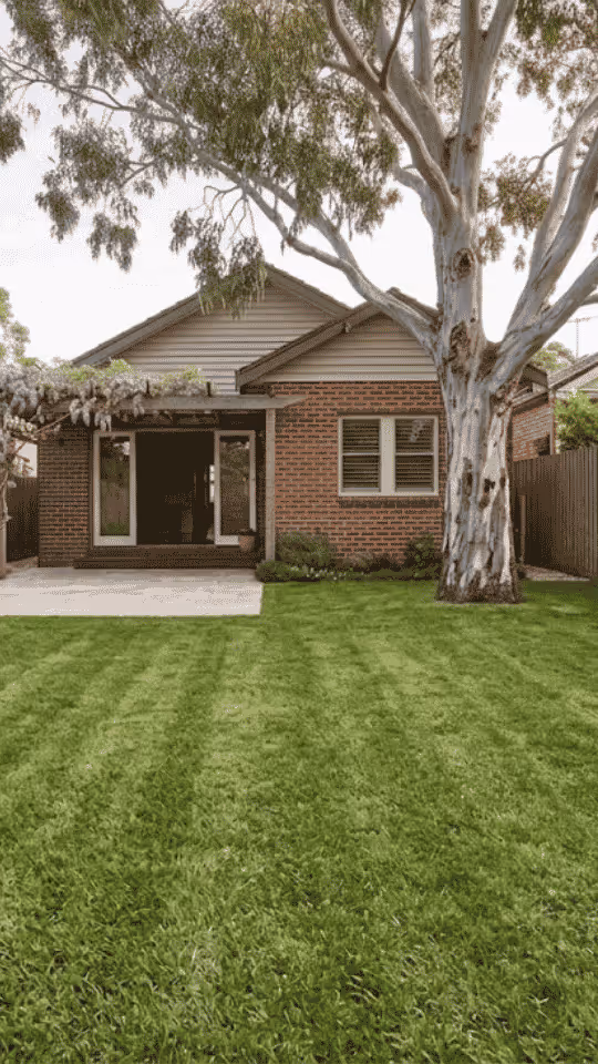Backyard with freshly mowed grass, a large tree, and a brick house with sliding glass doors.