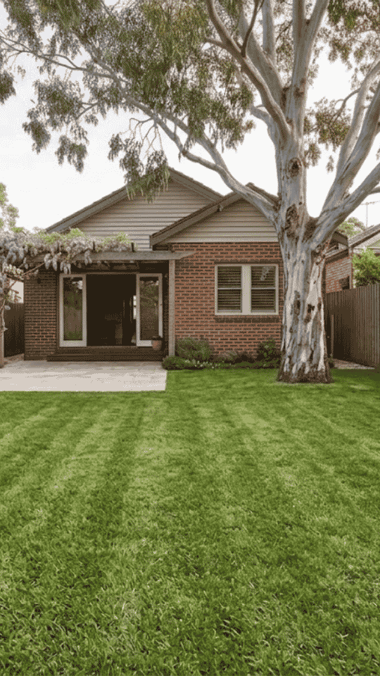Backyard with freshly mowed grass, a large tree, and a brick house with sliding glass doors.
