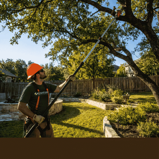 Man in orange helmet trims tree branches outdoors with a long pole trimmer in a backyard.