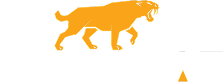 logo footer