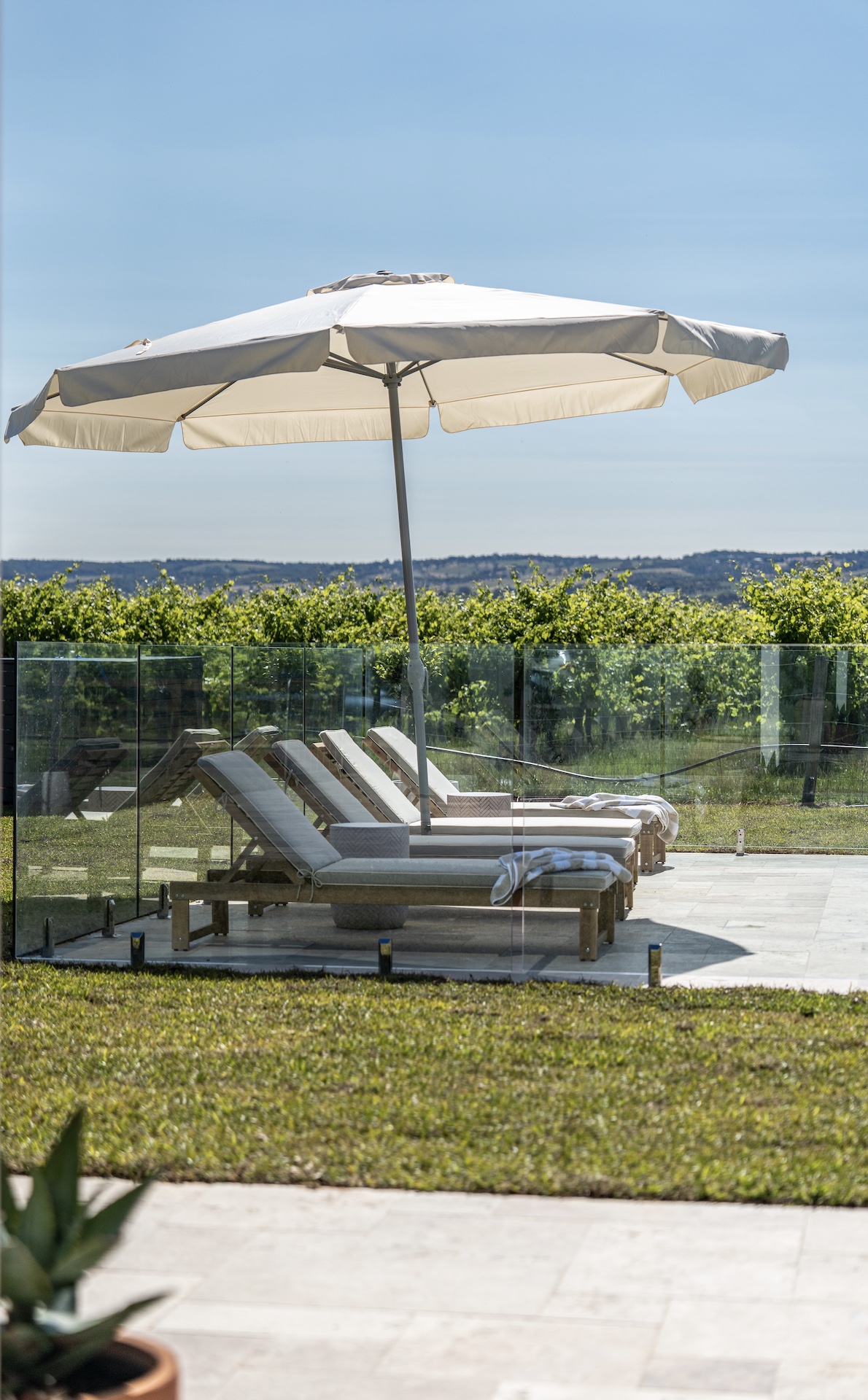 Pool lounge chairs with towels against a lush vineyard backdrop