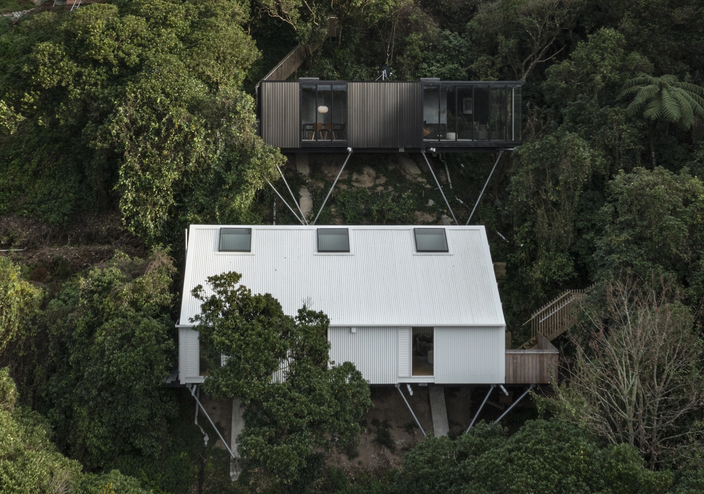 Hillside Habitats