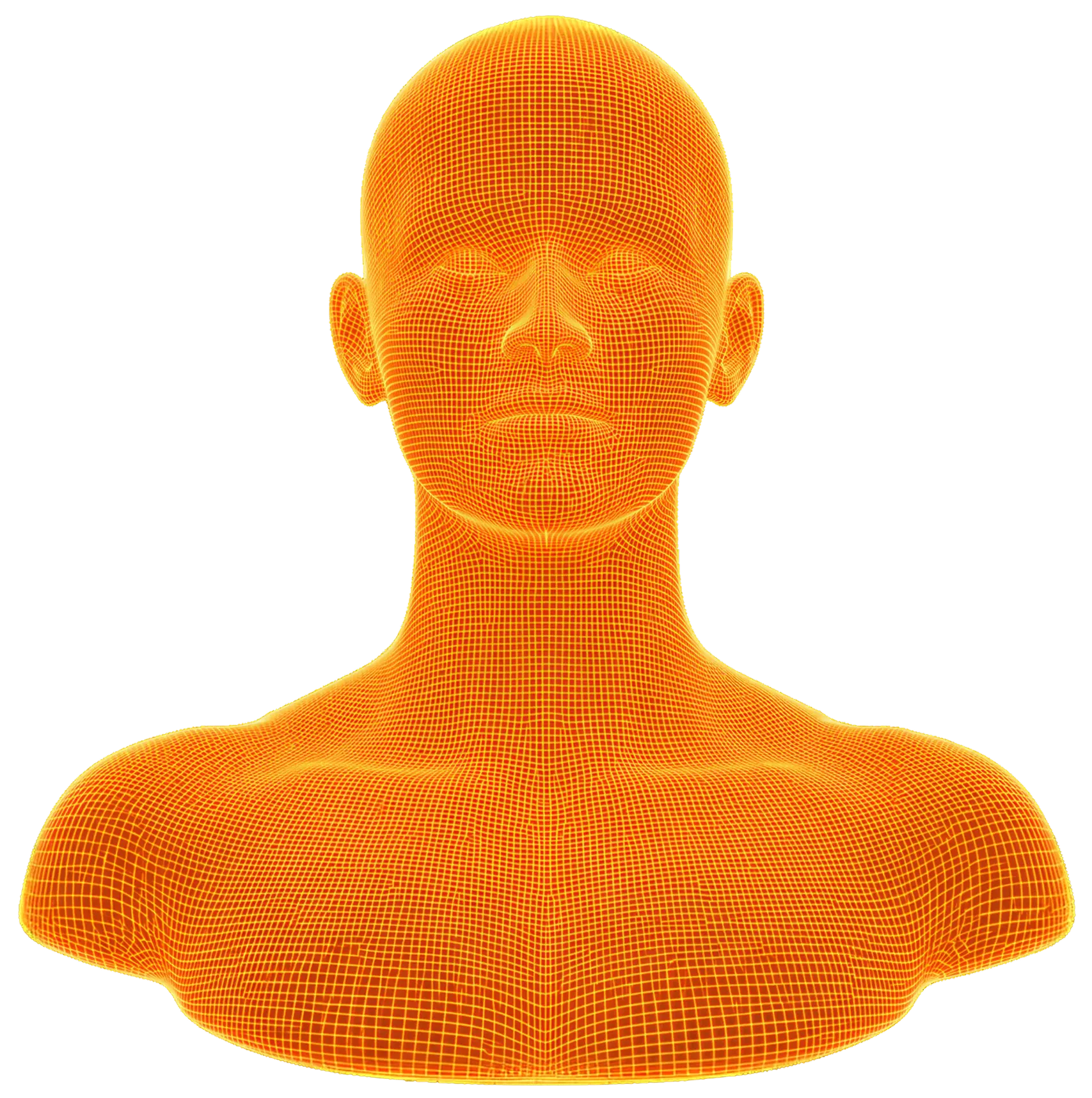 3D orange wireframe model of a human head and shoulders facing forward on black background.
