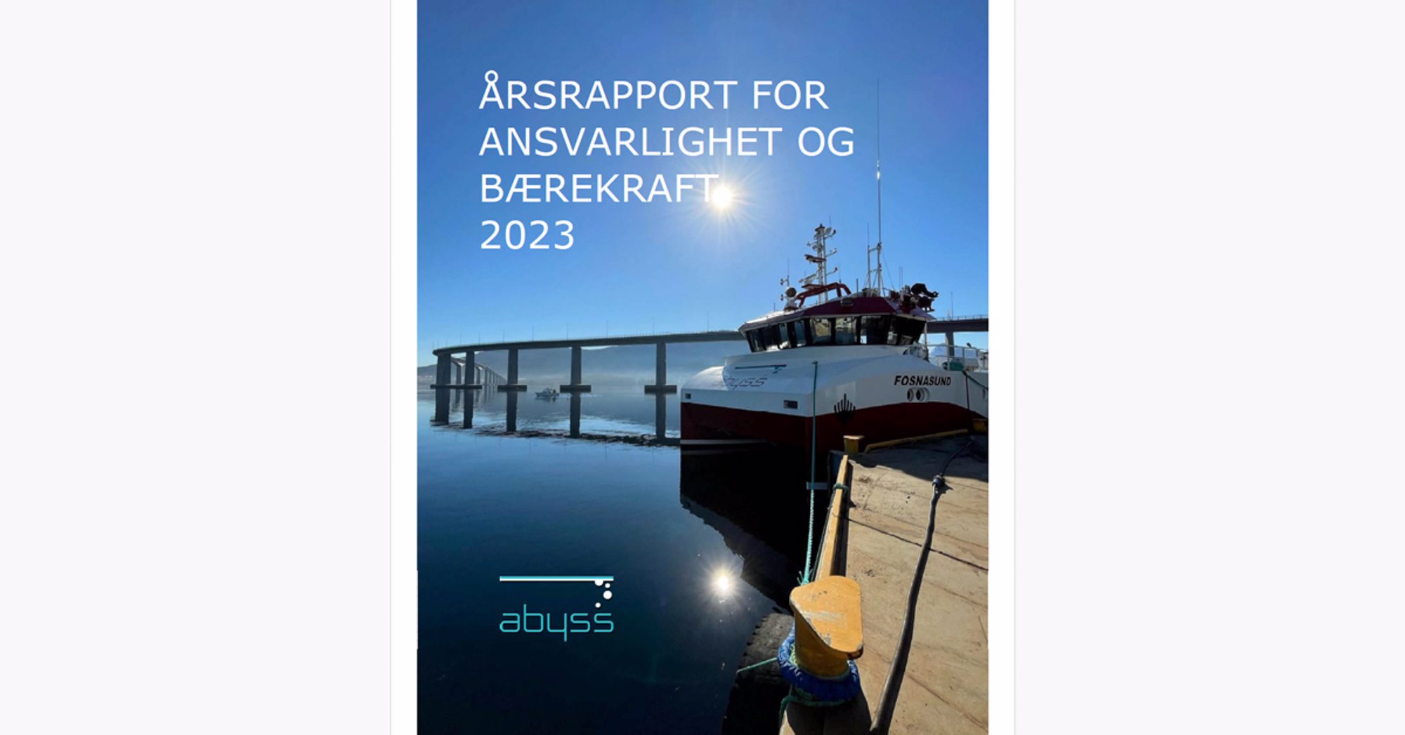 Forside fra Abyss sin årsrapport for 2023