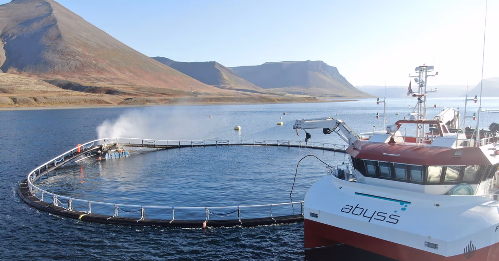 Notvask i Vestfjordene på Island
