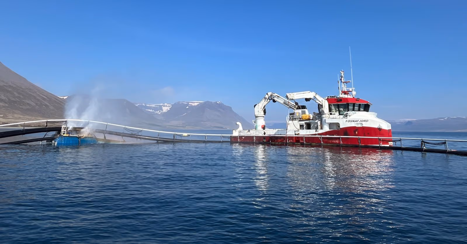 Ringvask under brakklegging på Island